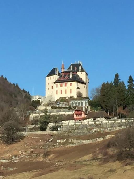 Maison De Vacances 220M2 Vue Lac Et Chateau Menthon-Saint-Bernard Dış mekan fotoğraf
