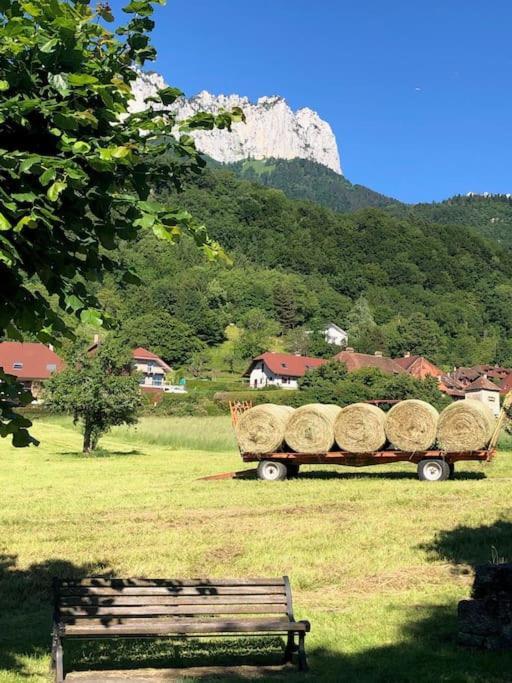 Maison De Vacances 220M2 Vue Lac Et Chateau Menthon-Saint-Bernard Dış mekan fotoğraf